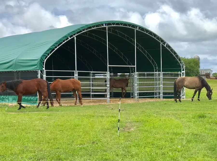 Carpa TentUp usada como picadero para hípica